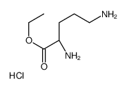 (S)-ETHYL 2,5-DIAMINOPENTANOATE HYDROCHLORIDE结构式