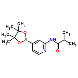 2-Methyl-N-[4-(4,4,5,5-tetramethyl-1,3,2-dioxaborolan-2-yl)-2-pyridinyl]propanamide结构式
