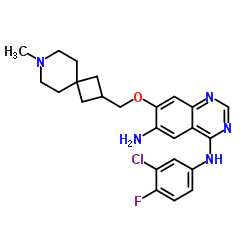 N4-(3-Chloro-4-fluorophenyl)-7-[(7-methyl-7-azaspiro[3.5]non-2-yl)methoxy]-4,6-quinazolinediamine Structure