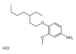 [4-(3-ethylheptoxy)-3-methoxyphenyl]azanium,chloride structure