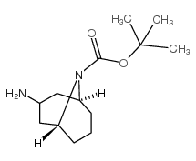 内向-3-氨基-N-Boc-9-氮杂双环[3.3.1]壬烷图片