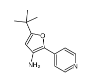 5-叔丁基-2-(吡啶-4-基)呋喃-3-胺图片