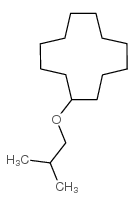 2-methylpropoxycyclododecane Structure