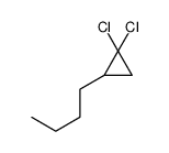 2-butyl-1,1-dichlorocyclopropane Structure