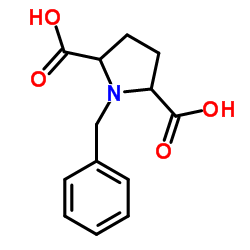 2,5-Pyrrolidinedicarboxylic acid, 1-(phenylmethyl)- structure