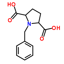 2,5-Pyrrolidinedicarboxylic acid, 1-(phenylmethyl)- picture