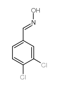 Benzaldehyde,3,4-dichloro-, oxime picture
