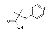 PROPANOIC ACID, 2-METHYL-2-(4-PYRIDINYLOXY)- picture