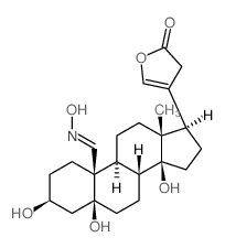 4-[(3S,5S,8R,9S,10R,13R,14S,17S)-3,5,14-trihydroxy-10-[(Z)-hydroxyiminomethyl]-13-methyl-2,3,4,6,7,8,9,11,12,15,16,17-dodecahydro-1H-cyclopenta[a]phenanthren-17-yl]-3H-furan-2-one结构式