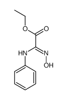 ethyl 2-(hydroxyamino)-2-phenyliminoacetate结构式
