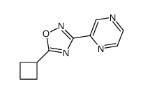 5-cyclobutyl-3-pyrazin-2-yl-1,2,4-oxadiazole Structure