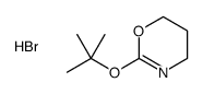 2-[(2-methylpropan-2-yl)oxy]-5,6-dihydro-4H-1,3-oxazine,hydrobromide结构式