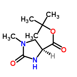 (4S)-1-甲基-2-氧代咪唑啉-4-甲酸叔丁酯结构式