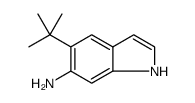 5-(TERT-BUTYL)-1H-INDOL-6-AMINE结构式