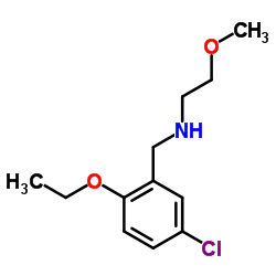 N-(5-Chloro-2-ethoxybenzyl)-2-methoxyethanamine Structure