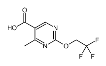 5-Pyrimidinecarboxylic acid, 4-methyl-2-(2,2,2-trifluoroethoxy) Structure