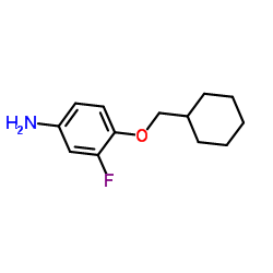 4-(Cyclohexylmethoxy)-3-fluoroaniline结构式