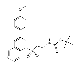 {2-[7-(4-methoxy-phenyl)-isoquinoline-5-sulfonyl]-ethyl}-carbamic acid tert-butyl ester结构式