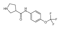 N-[4-(trifluoromethoxy)phenyl]pyrrolidine-3-carboxamide Structure