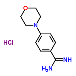 4-(Morpholin-4-yl)benzene-1-carboximidamide hydrochloride structure