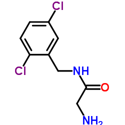 N-(2,5-Dichlorobenzyl)glycinamide Structure