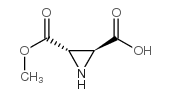 2,3-Aziridinedicarboxylicacid,monomethylester,(2S-trans)-(9CI)结构式