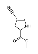 1H-Pyrrole-2-carboxylicacid,4-cyano-2,3-dihydro-,methylester(9CI) picture