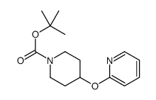 1-Boc-4-(2-吡啶基氧基)哌啶图片