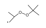 2-tert-butylperoxy-propyl Structure