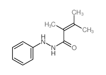 2,3-dimethyl-N-phenyl-but-2-enehydrazide Structure