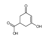 3-hydroxy-5-oxocyclohex-3-ene-1-carboxylic acid结构式