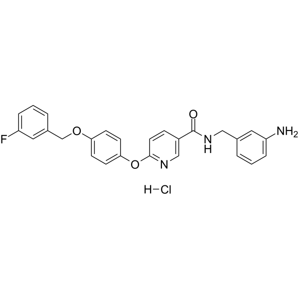 YM 2447690 Structure