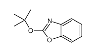 2-[(2-methylpropan-2-yl)oxy]-1,3-benzoxazole结构式