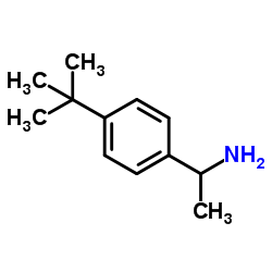 1-(4-tert-Butylphenyl)ethanamine structure