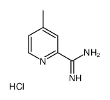 4-Methylpicolinimidamide hydrochloride Structure