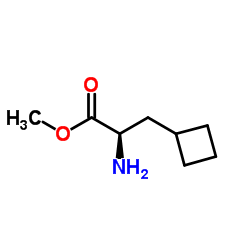 Methyl 3-cyclobutyl-D-alaninate结构式