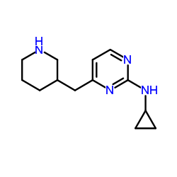 N-cyclopropyl-4-(piperidin-3-ylmethyl)pyrimidin-2-amine picture