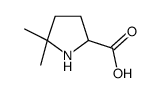 5,5-dimethylpyrrolidine-2-carboxylic acid structure