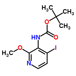 (4-碘-2-甲氧基吡啶-3-基)氨基甲酸叔丁酯图片