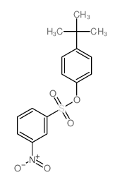 Benzenesulfonic acid,3-nitro-, 4-(1,1-dimethylethyl)phenyl ester picture