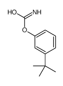 (3-tert-butylphenyl) carbamate structure
