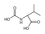 (2S)-2-(carboxyamino)-3-methylbutanoic acid Structure