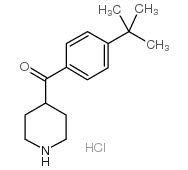 (4-tert-butylphenyl)-piperidin-4-ylmethanone,hydrochloride picture