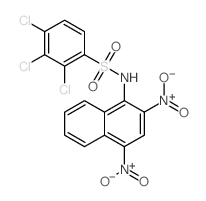 Benzenesulfonamide,2,3,4-trichloro-N-(2,4-dinitro-1-naphthalenyl)-结构式