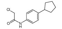 2-chloro-N-(4-cyclopentylphenyl)acetamide Structure