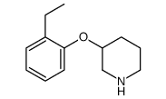 3-(2-Ethylphenoxy)piperidine Structure