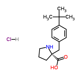 2-[4-(2-Methyl-2-propanyl)benzyl]-L-proline hydrochloride (1:1)结构式