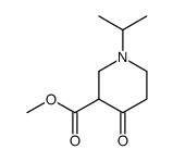 methyl 4-oxo-1-propan-2-ylpiperidine-3-carboxylate Structure