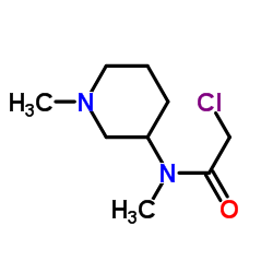 2-Chloro-N-methyl-N-(1-methyl-3-piperidinyl)acetamide Structure