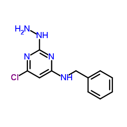 N-Benzyl-6-chloro-2-hydrazino-4-pyrimidinamine结构式